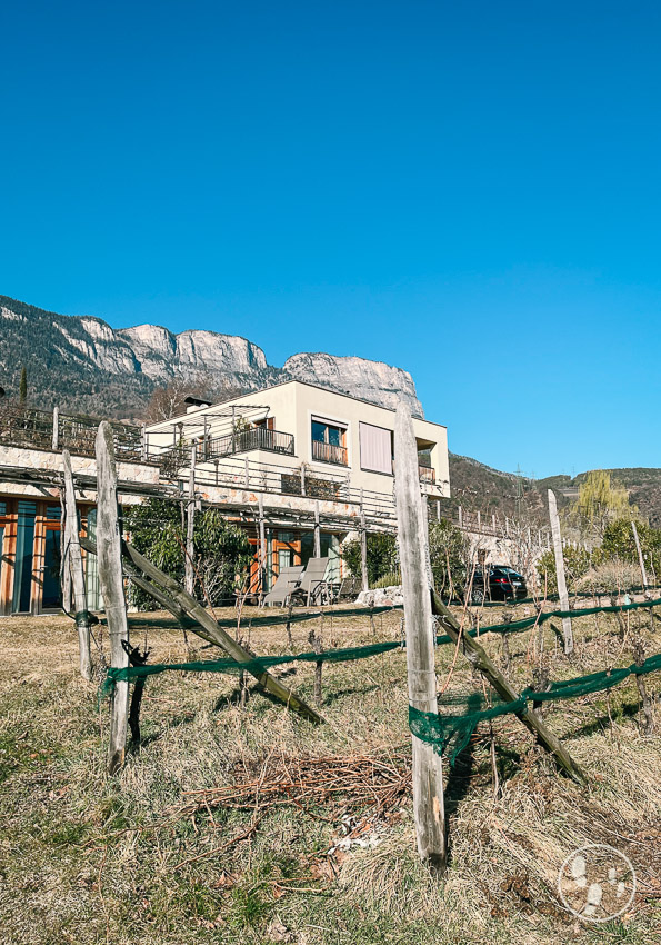 Unterkunft im Weinberg beim Urlaub in südtirol mit kindern