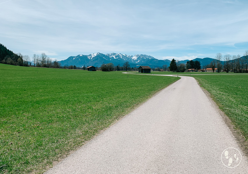 Rundwanderweg Gaißacher Filze mit Kinderwagen