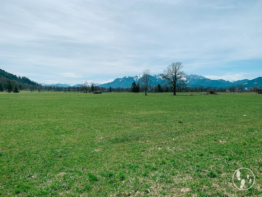 Panoramablick auf der Rundwanderung Gaißacher Filze