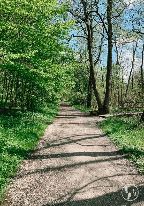 Weg entlang der Eberseberger Weiherkette