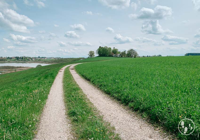 Wandern mit Kinderwagen um den Egglburger ee