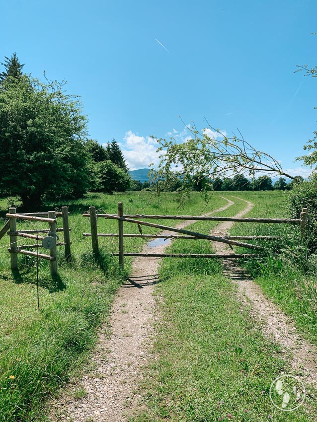 Gatter bei der Rundwanderung um den Kirchsee