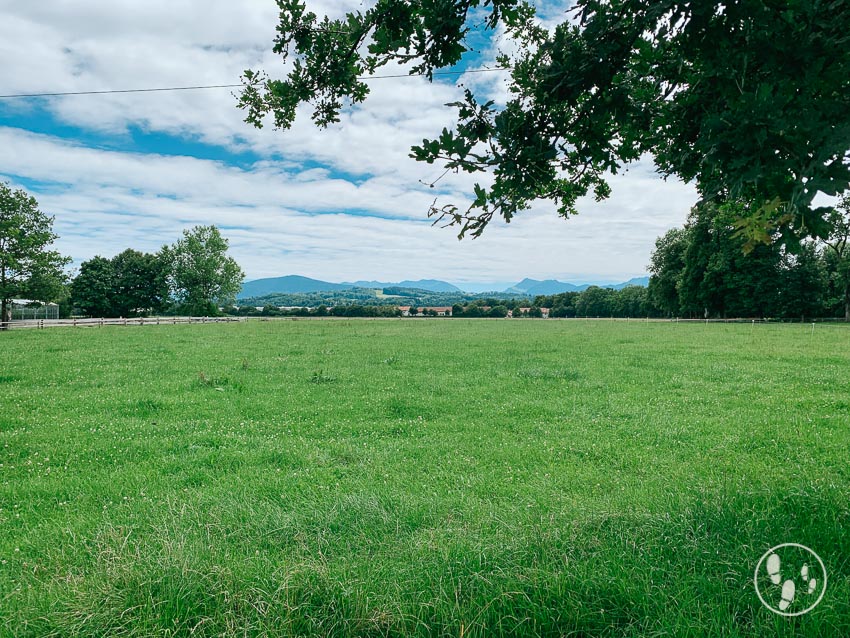 Blick von Biohof Wallenburg