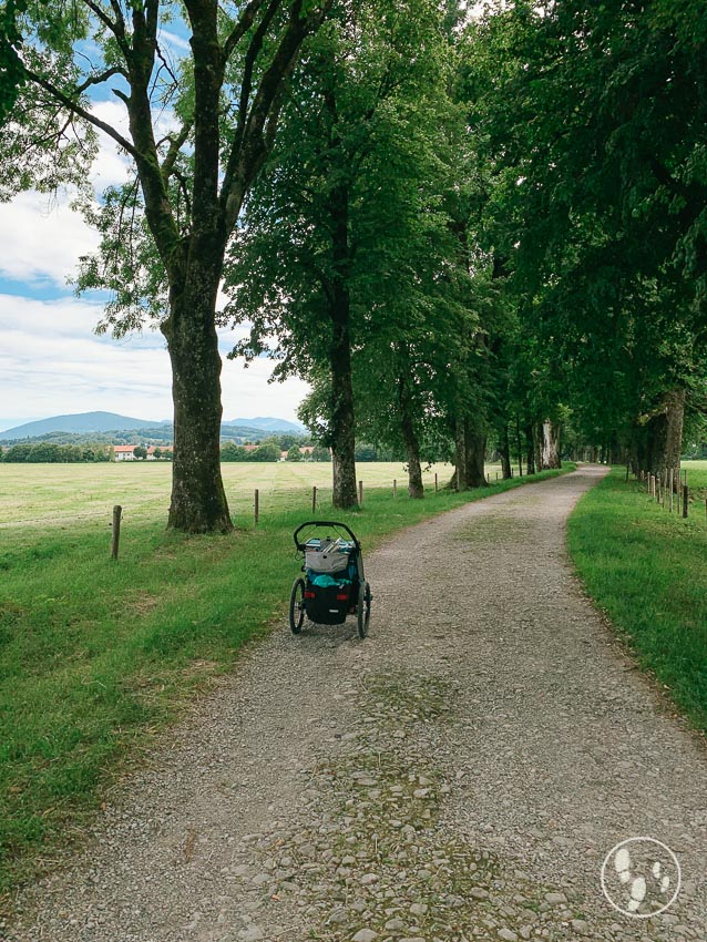 Allee zum Biohof Wallenburg